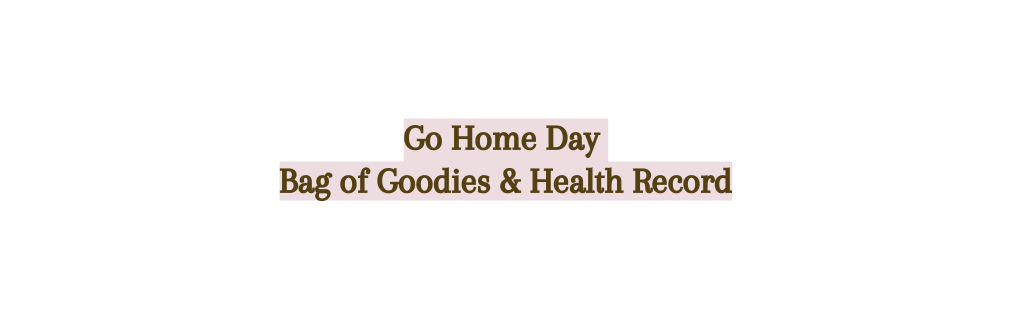 Go Home Day Bag of Goodies Health Record